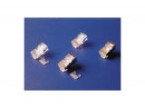 Connecteur 8/8 RJ45 - sachet de 50