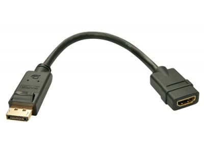 Adaptateur DisplayPort vers HDMI - 0.15m