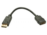 Adaptateur DisplayPort vers HDMI - 0.15m